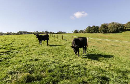 Breaches Barn - Foto 32