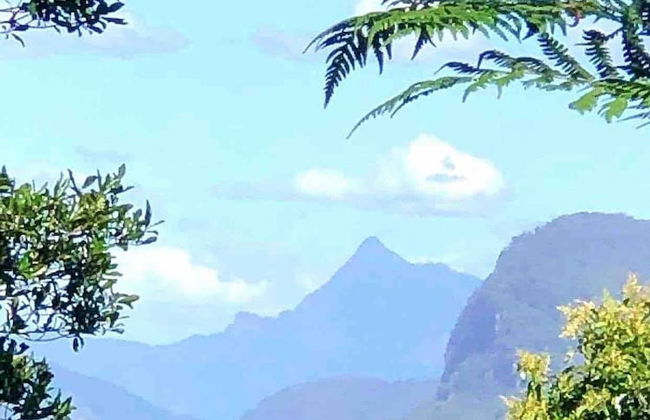 Cabane Tiny Tree House no4 - Foto 26