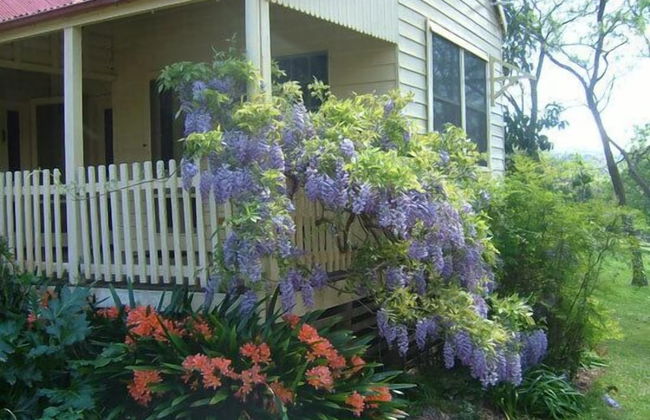 Hermitage Cottage - Photo 19