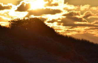 Ferienwohnung Labrador - Foto 22