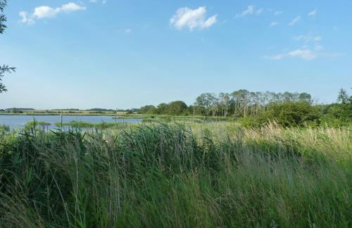 Ferienhaus - Mittendrin - Foto 40