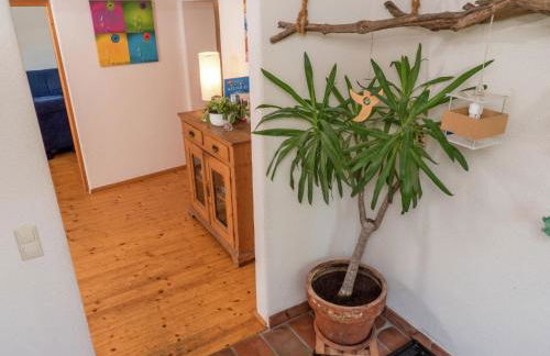 Ferienhaus in Herrischried - Foto 10