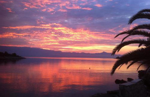 Apartments Amfora - Foto 49