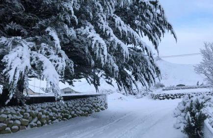 Binnian Gateway - Photo 24