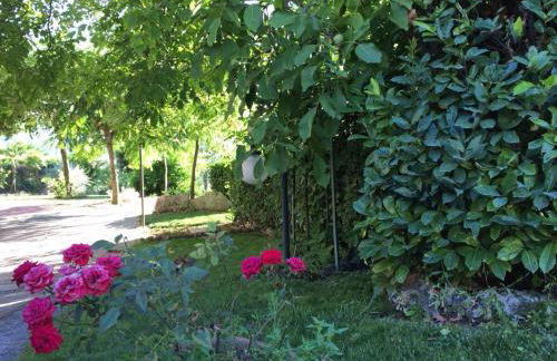 Appartamenti Monte Alago - Photo 38