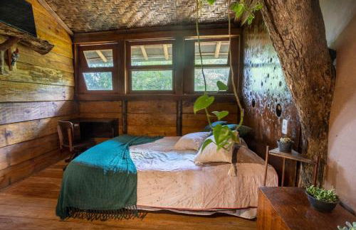 Casa da Árvore - Foto 42