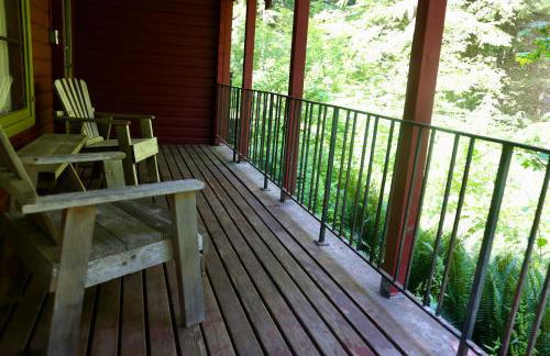 Cedar at Rainier Lodge (0.4 m from Mt.Rainier) - Photo 13