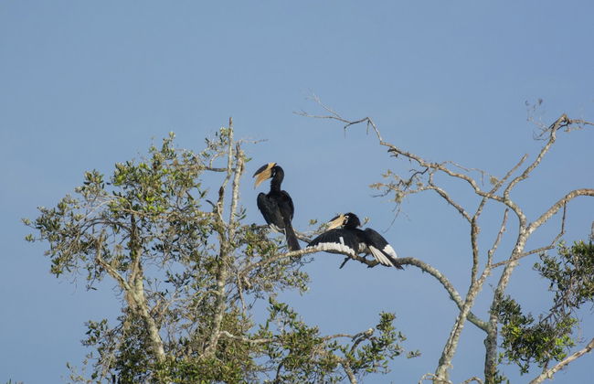 Villa Tanderra - Photo 28