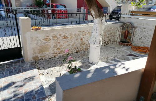 Lemon Tree House - Photo 34