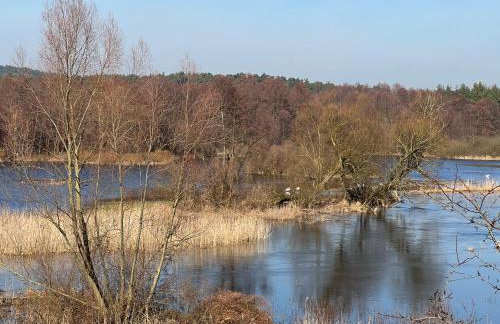 APARTAMENT CENTRUM - Foto 39