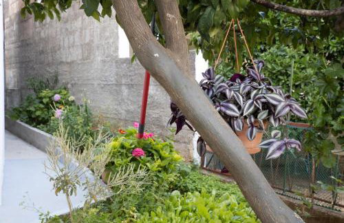 Apartments Latkovic - Photo 74