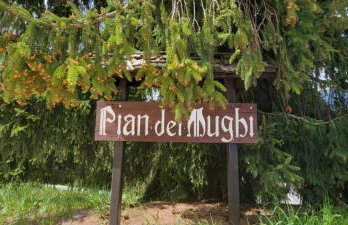 Appartamento Pian dei Mughi Marilleva 1400 - Foto 3