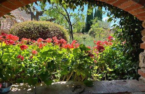 VILLA PANICALE -Toscana - Foto 17