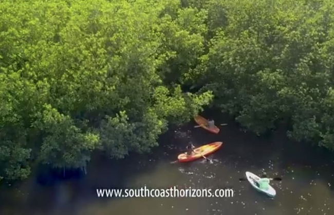 South Coast Horizons - Photo 62