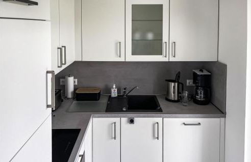 Seeschwalbe - Foto 6