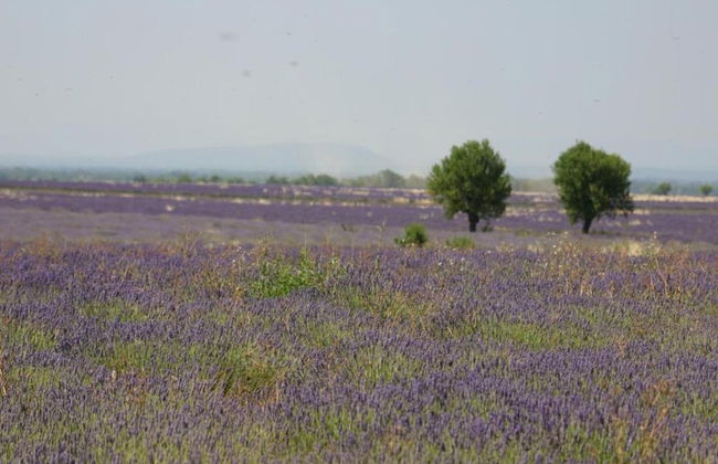 Studio in Greoux-les-bains Near Lakes - Foto 35