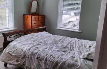 The Swallow - Foto 7