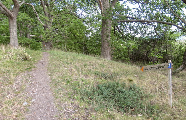 Stegeborg Sjöstugan - Foto 17