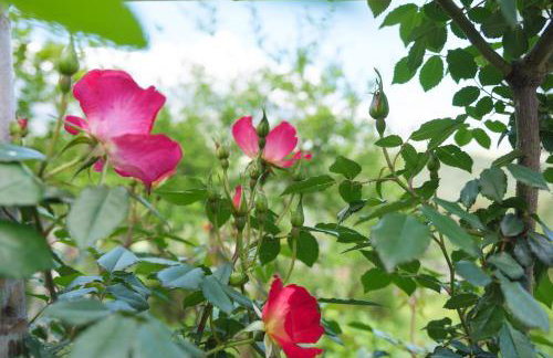 Charming Country House with View - Foto 45