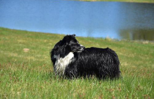 Siedlisko nad Łąkami - Foto 20
