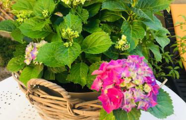 LE JABLOIRE - Foto 35