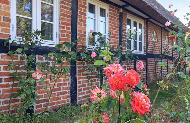 6 Person Holiday Home in Guldborg - Foto 26