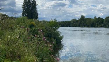 Château de la rivière - Foto 3