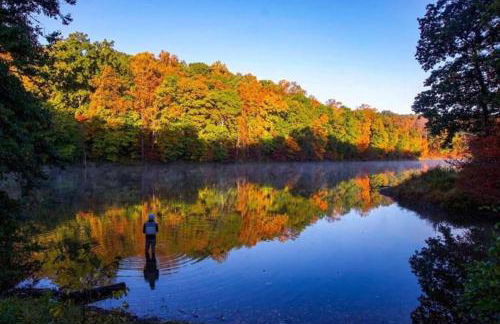 Susu's-I-Luxurious 2 Bedroom 2 Bath Apartment - Foto 46