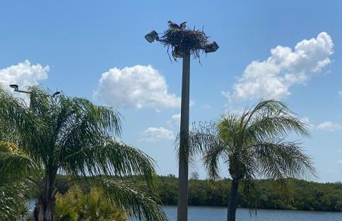 Perfect getaway with pool, hot tub and world class views - Foto 11