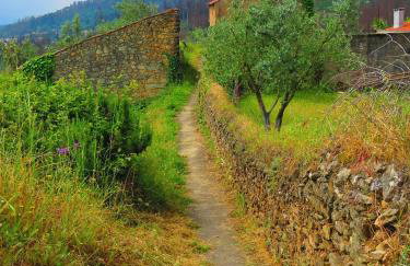 Cozy house with mountain view in Miranda do Corvo - Foto 8