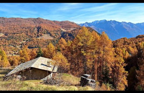 Elegance Mountain Edolo Ponte di Legno - Foto 21