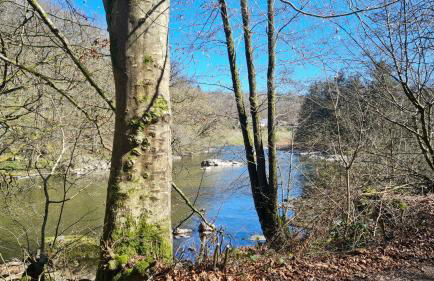 Chalet LE CORPIAS - Foto 17