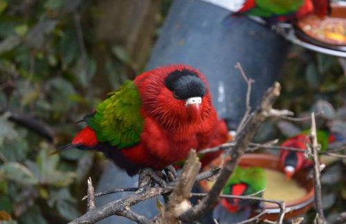 THE TEIDES WINDOW swimming pool LA VENTANA DEL TEIDE - Foto 36