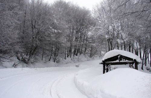 Traditional Stone House in Kissos Pelion - Foto 38