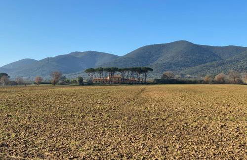 Agriturismo Borgo Bernabei - Foto 8