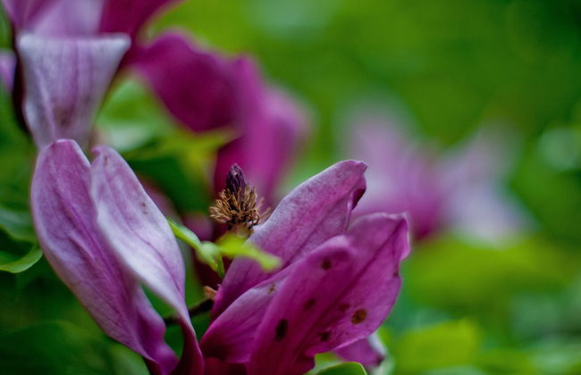 Villa Marie- Self-Catering - Foto 38