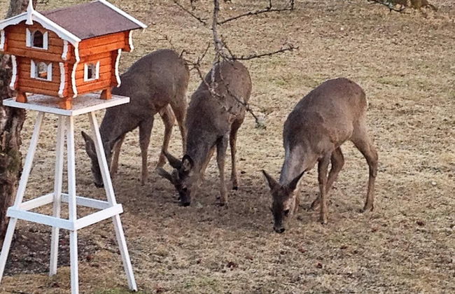 4 Person Holiday Home in Romelanda-by Traum - Foto 6