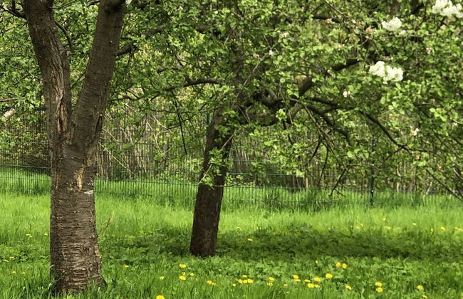Flat in Eutin on the Kleiner Eutiner See Lake - Photo 2