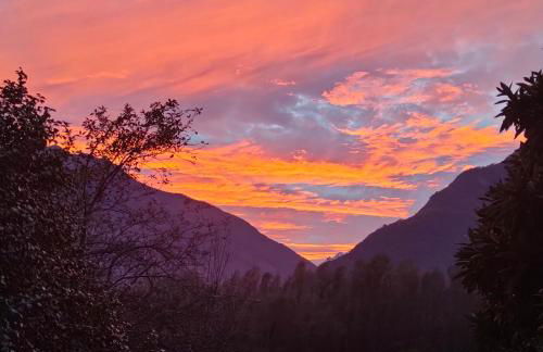 Il nido dei cigni - Foto 30