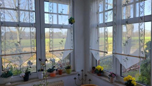 Hof Schumacher - Photo 5