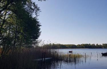 Siedlisko Jelonki - Foto 44