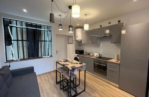 T2 Modern and Cosy in St Étienne - Foto 1