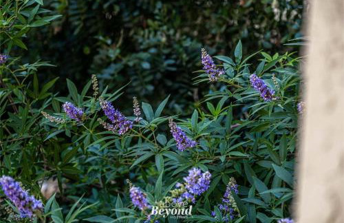 Kiki on the Lake - Foto 51