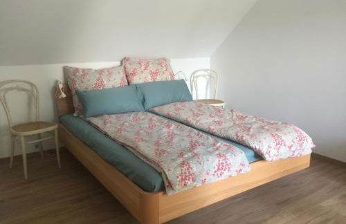 Ruhige 2-Zimmer Ferienwohnung FeWo Bodensee - Foto 6