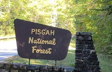 Downtown Brevard 5BR Retreat & Cyclists Dream - Foto 37