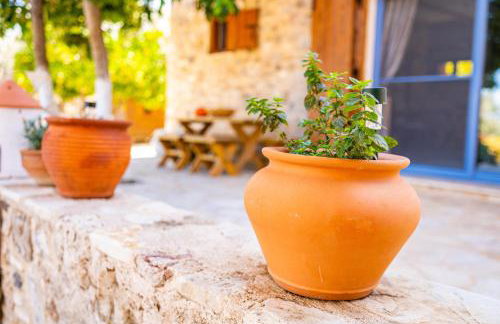 Chaihoutes stone House and Villa into Olive farm in Zia - Photo 39