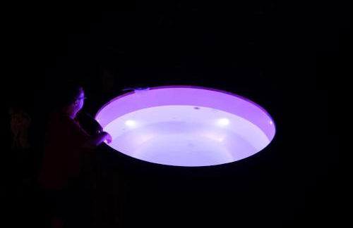 Maison avec vue, grand terrain clos, bain nordique privé toute l'année, animaux acceptés - Foto 6