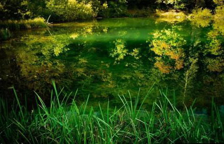 Apartman Lana - Foto 39