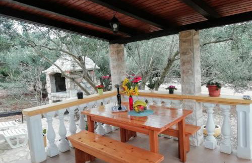 Secluded holiday house Cove Nevidjansko Polje, Pasman - 12806 - Photo 14