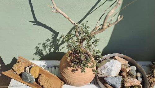 Cottage Leonidas Sun&Art - Foto 4